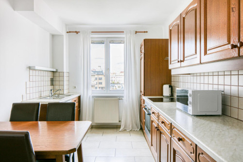 Brilliant 1-bedroom apartment in Hundsturm - Gallery - 10