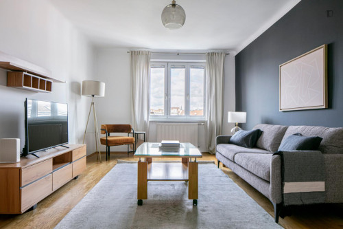Brilliant 1-bedroom apartment in Hundsturm  - Gallery -  5