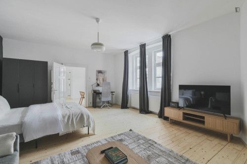 Cozy studio near the Vienna University of Economics and Business