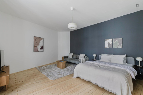 Cozy studio near the Vienna University of Economics and Business
