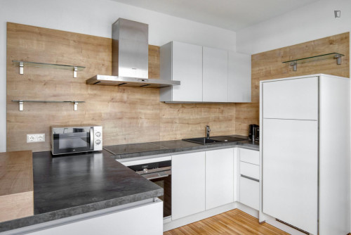 Lovely 1-bedroom flat near the Central European University