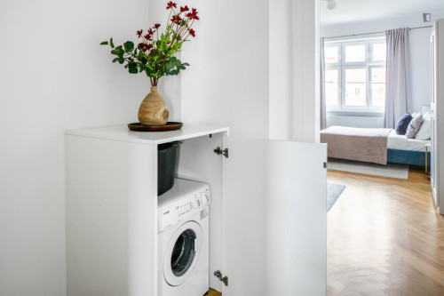 Cool 1-bedroom apartment in Landstraße