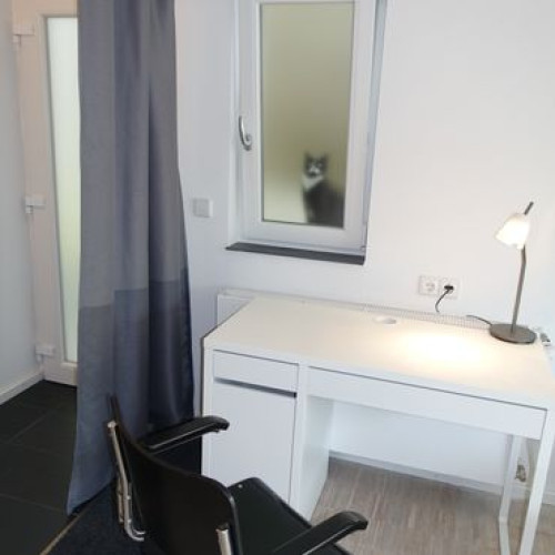 Fully equipped, stylish apartment 10 km from Heidelberg - Rooms