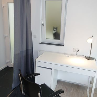  Entire Apartment  -  Fully equipped, stylish apartment 10 km from Heidelberg  - Gallery -  4