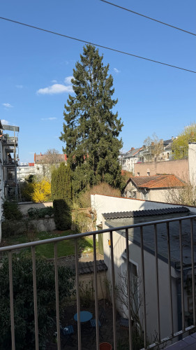 Attractive 2-room apartment on the 1st floor in Johannesviertel, Darmstadt - Gallery - 9