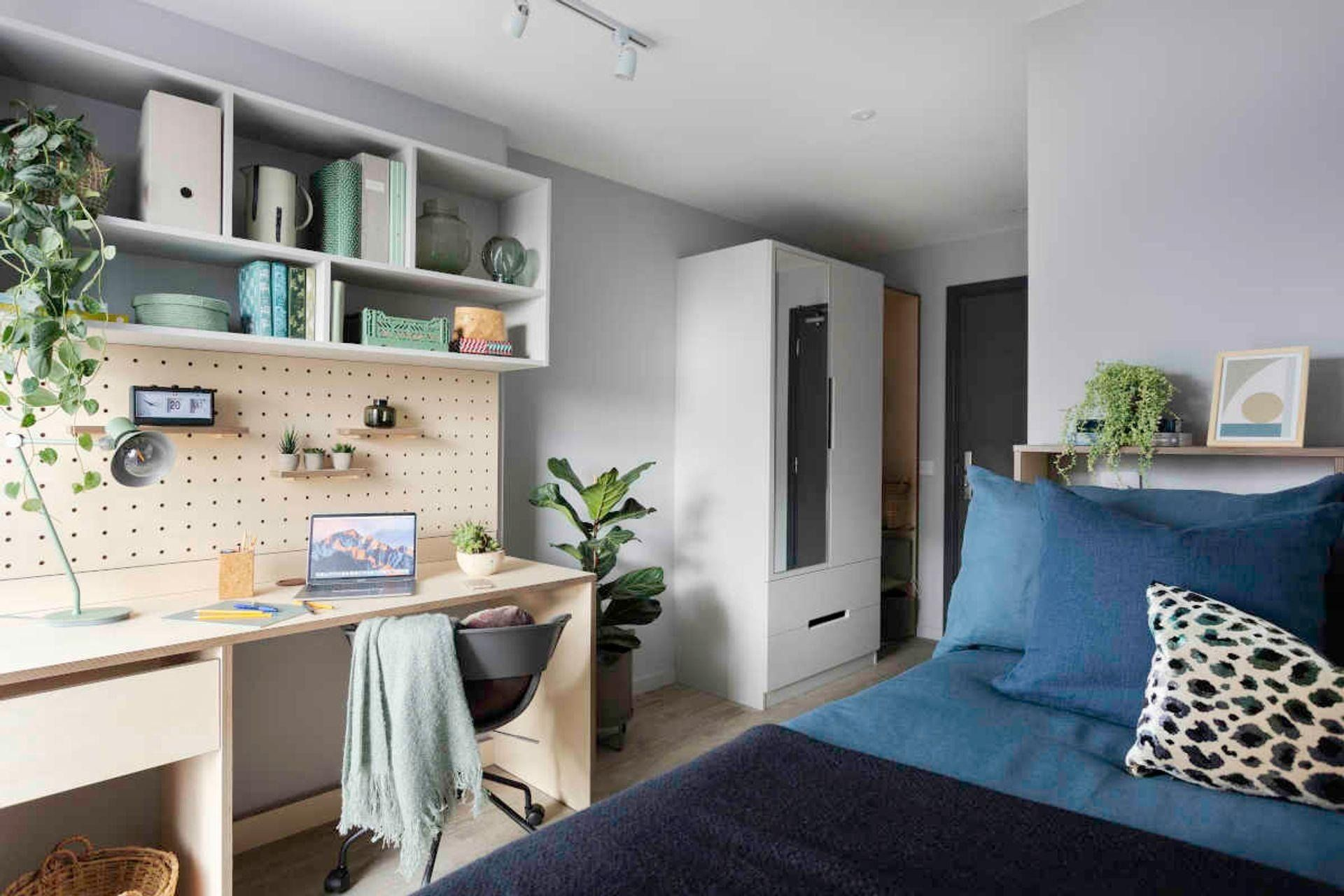 5 Bed Essential Ensuite - 1