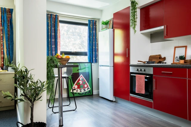  Extra Large High Double Studio  -  Rahere Court Unite  - Gallery -  3