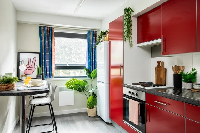  Large High Double Studio  -  Rahere Court Unite  - Gallery -  3