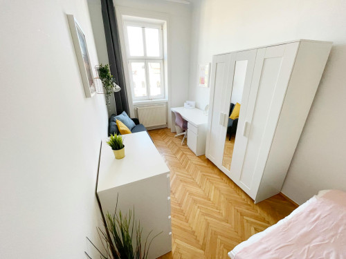 Josefstädter Straße, Vienna