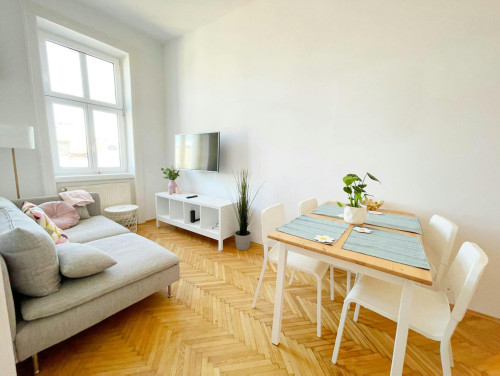 Josefstädter Straße, Vienna