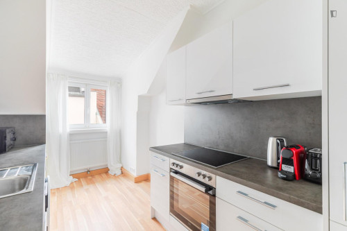 Cozy 1-bedroom flat near the Vienna University of Economics and Business