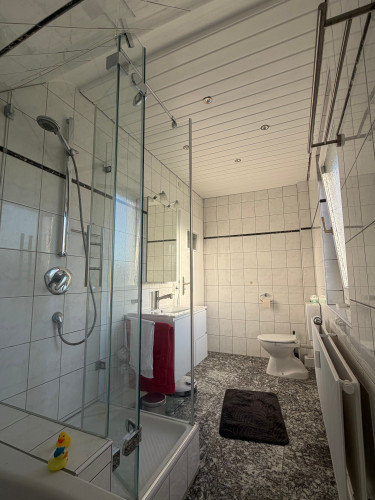 Fantastic and spacious apartment (Leinfelden-Echterdingen) - Gallery - 31
