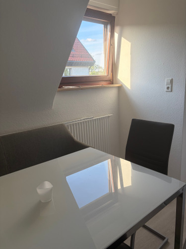 Fantastic and spacious apartment (Leinfelden-Echterdingen) - Gallery - 22