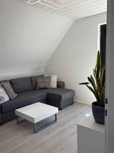 Fantastic and spacious apartment (Leinfelden-Echterdingen) - Gallery - 12