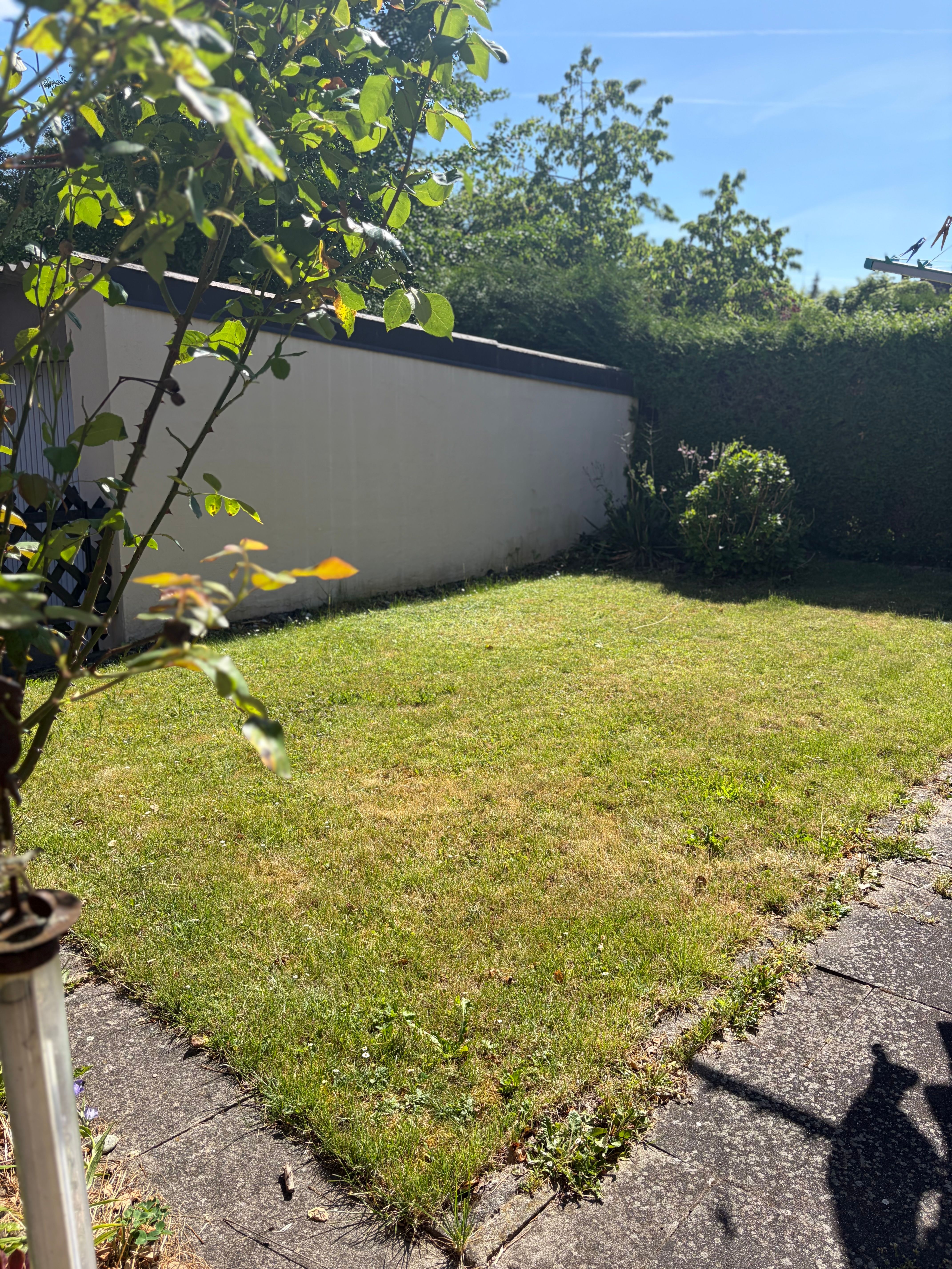 Fantastic And Spacious Apartment (Leinfelden-Echterdingen)  -  Fantastic and spacious apartment (Leinfelden-Echterdingen)  - Gallery -  2