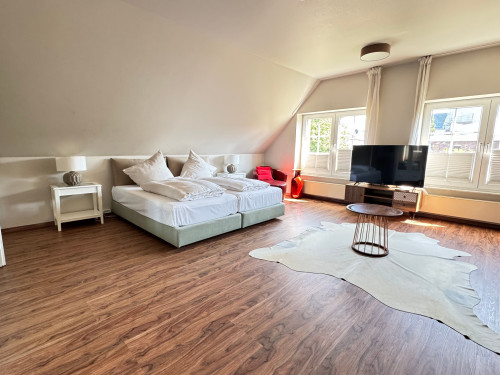 Business room with private bathroom, terrace, parking & service options near Cologne