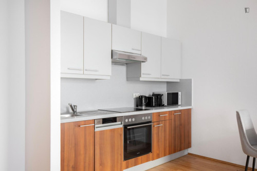 Excellent 1-bedroom flat in Alsergrund - Gallery - 9