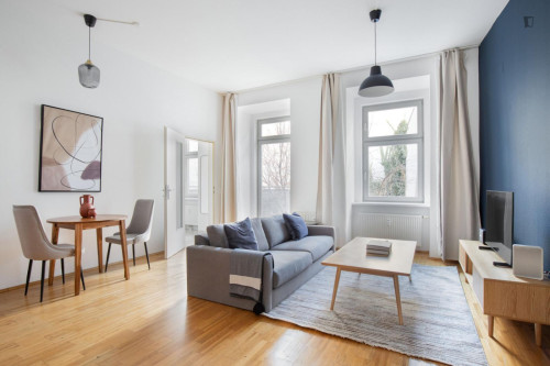 Excellent 1-bedroom flat in Alsergrund