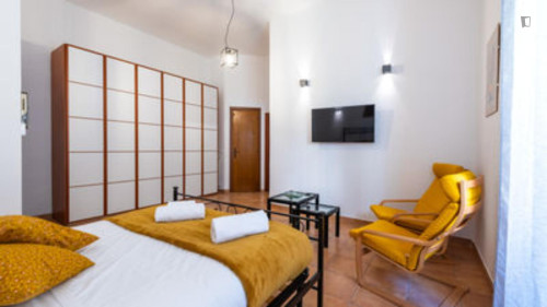 Modern 1-bedroom flat in Gianicolense