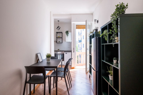 Cozy room in Zona Calvairate  - Gallery -  2