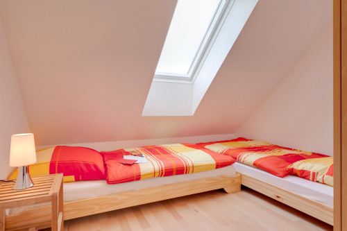 House Münster – Holiday home directly on the Baltic Sea, between Lübeck and Wismar beach 250 m away, Sauna. - Gallery - 7