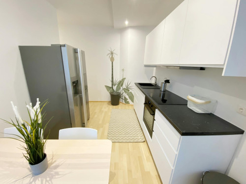 Gumpendorfer Straße, Vienna  - Gallery -  5