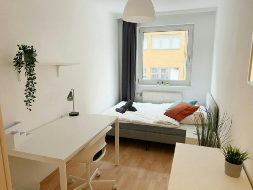 Sonnleithnergasse, Vienna