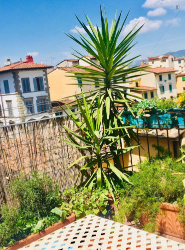 Apartment in Via dell'Agnolo, Firenze for 70 m² with 2 bedrooms - Gallery - 12