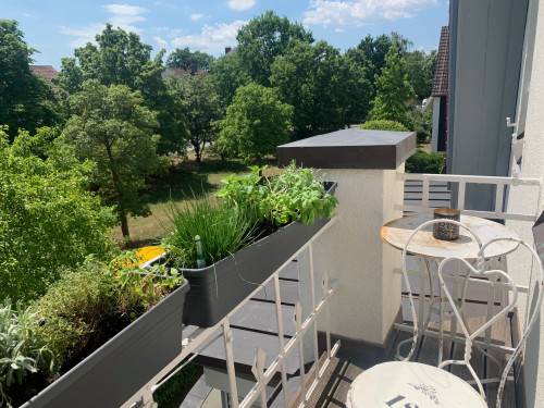 Stilvoll wohnen auf Zeit – exklusive Jugendstilwohnung mit Gartenanteil in Nürnberg-Reichelsdorf - Gallery - 6