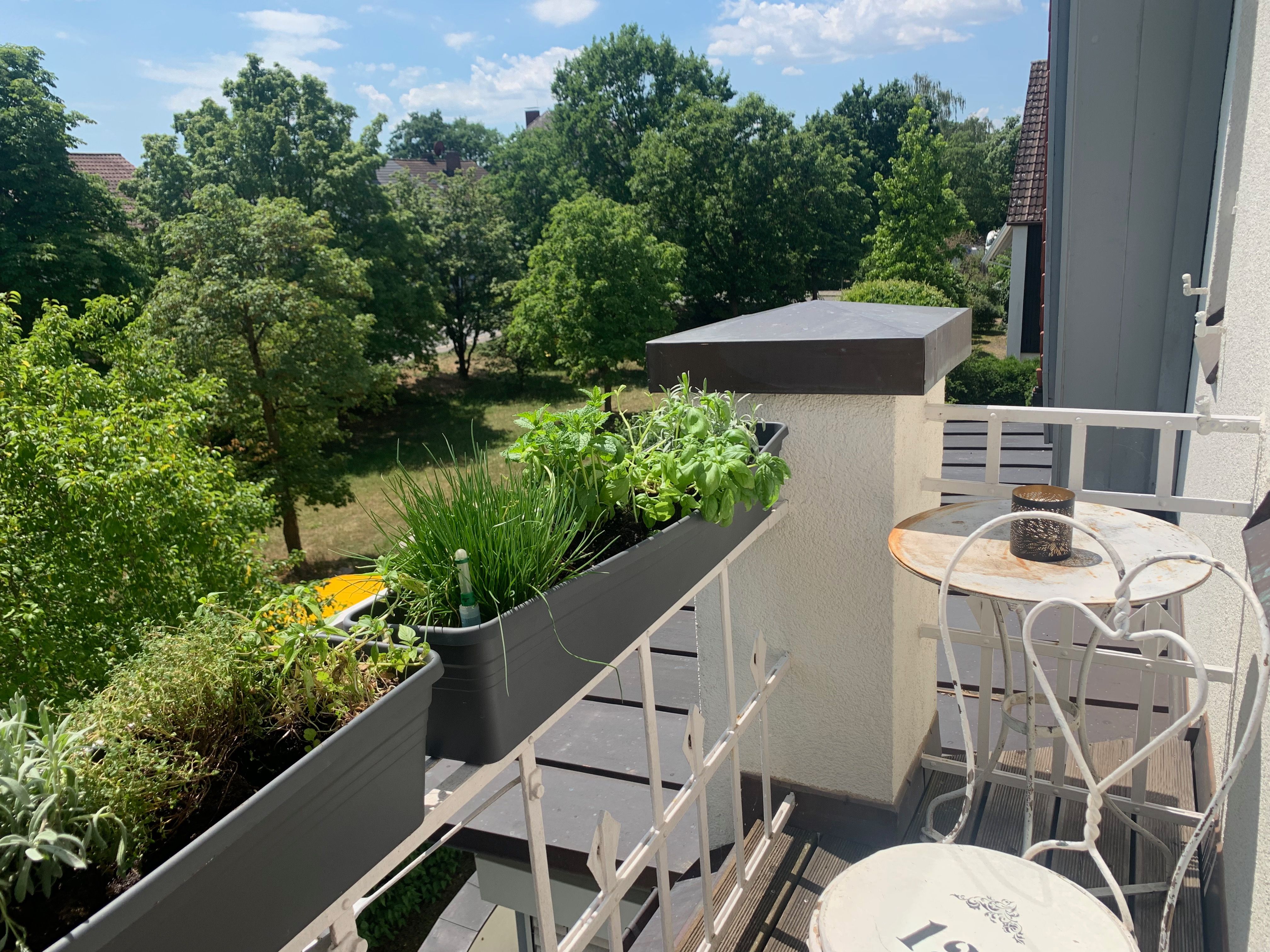 Stilvoll Wohnen Auf Zeit – Exklusive Jugendstilwohnung Mit Gartenanteil In Nürnberg-Reichelsdorf - 5