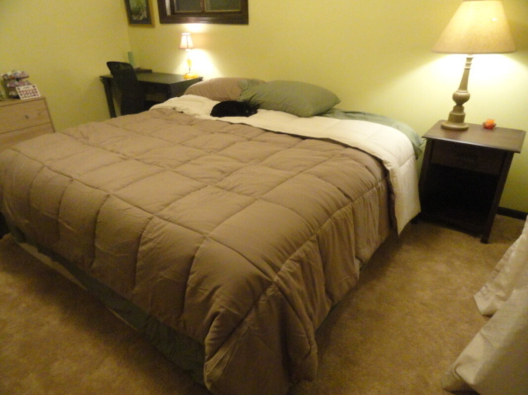 Cozy King (Full Room) - 1