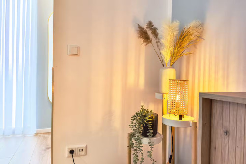 Design Apartments Erfurt - Parking - Wi-Fi - Near Clinic - Central