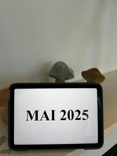 Rue Souveraine, Ixelles - Gallery - 9