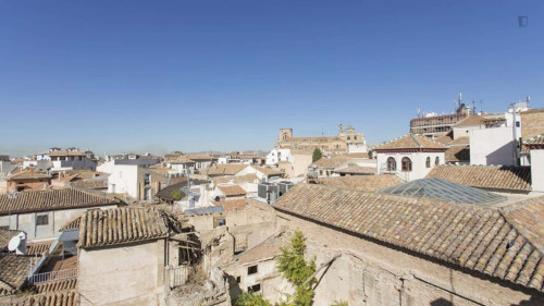 Apartment in Calle San Matías, Granada with 1 bedroom - Gallery - 9