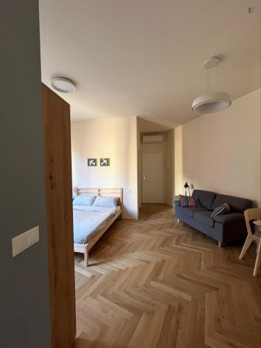 Studio apartment, with outdoor area - Gallery - 2