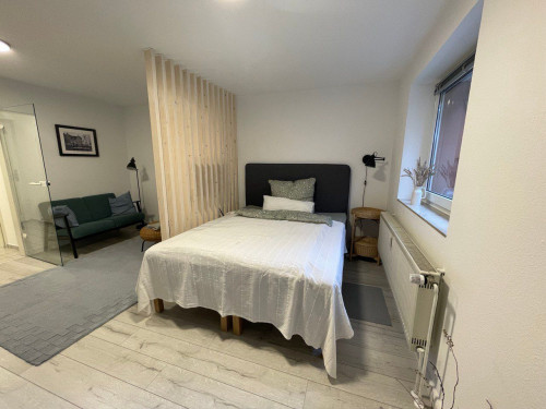 Fashionable apartment next to Leuphana Univercity