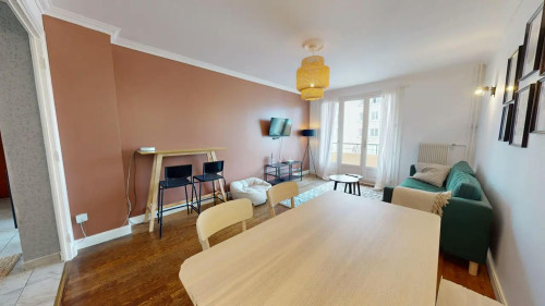 Cours Émile Zola, Villeurbanne  - Gallery -  5