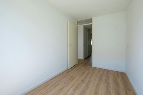 Nisserstraat, Amsterdam - Gallery - 9