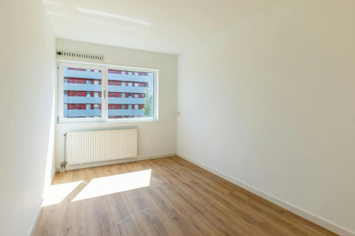 Nisserstraat, Amsterdam - Gallery - 8