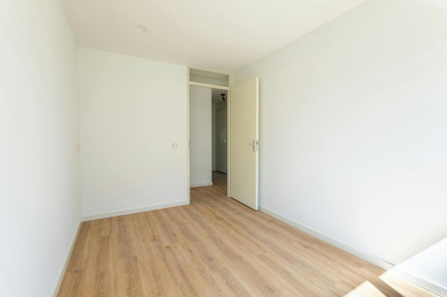 Nisserstraat, Amsterdam - Gallery - 7