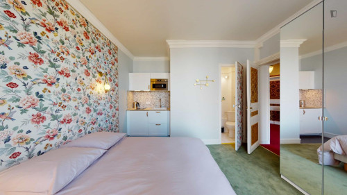 Wonderful double ensuite bedroom with a kitchenette, in Montmartre