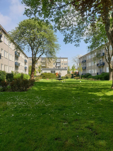 Veluwelaan, Amsterdam - Gallery - 10