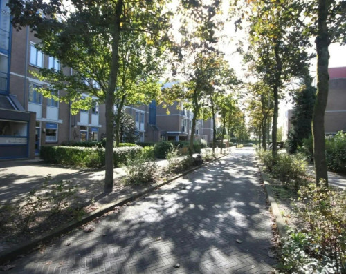 Schelluinenstraat, Amsterdam - Gallery - 10