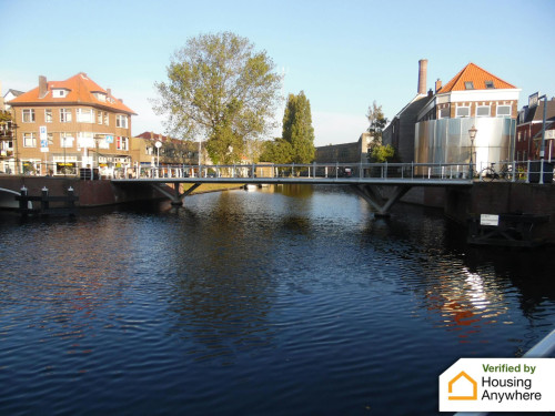 Lammermarkt, Leiden - Gallery - 7