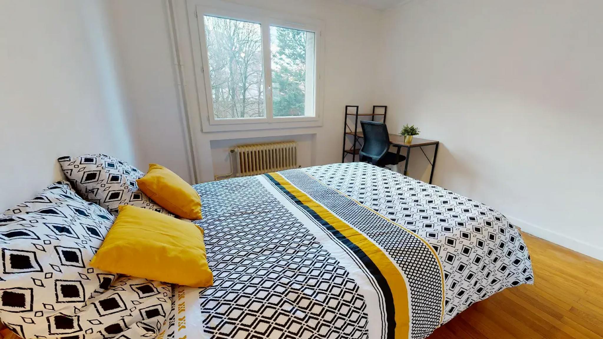  Private Room  -  Rue Victor Basch, Villeurbanne  - Gallery -  1