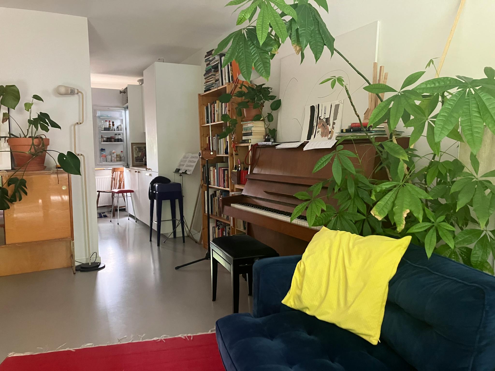 Entire Place - 1