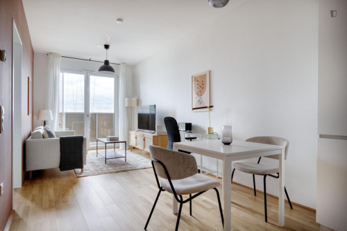 Lovely 1-bedroom flat in Erdberg - Gallery - 12