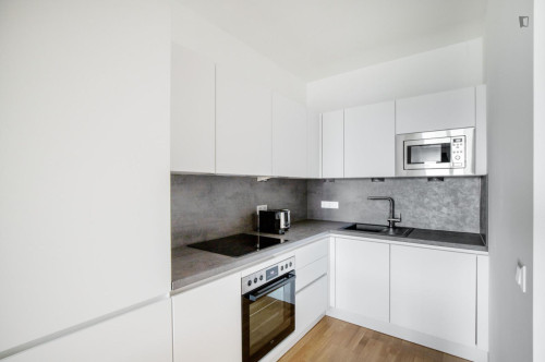 Lovely 1-bedroom flat in Erdberg - Gallery - 10