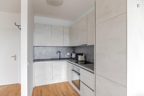 Nice 1-bedroom flat in Erdberg - Gallery - 10