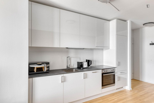 Inviting 1-bedroom flat near the Central European University